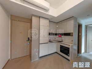 柏瓏 1A期 柏瓏 I 3座 - 28NTS – 香港北部都會區