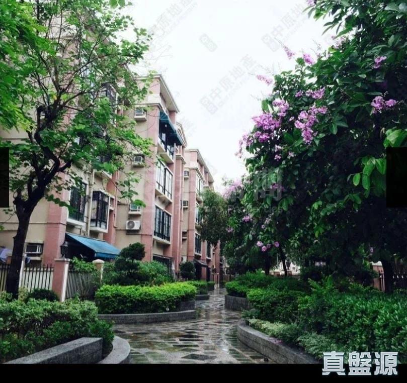 金碧花園 7座 - 28NTS – 香港北部都會區