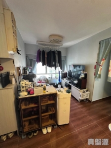 彩華花園 B座 - 28NTS – 香港北部都會區