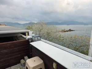 龍珠島別墅 F1座 - 28NTS – 香港北部都會區