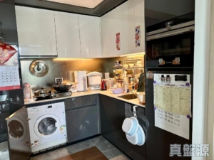 上源 2B座 - 28NTS – 香港北部都會區
