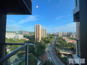 帝御 1期 帝御‧金灣 3座 - 28NTS – 香港北部都會區