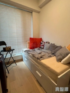 NAPA 1座 - 28NTS – 香港北部都會區