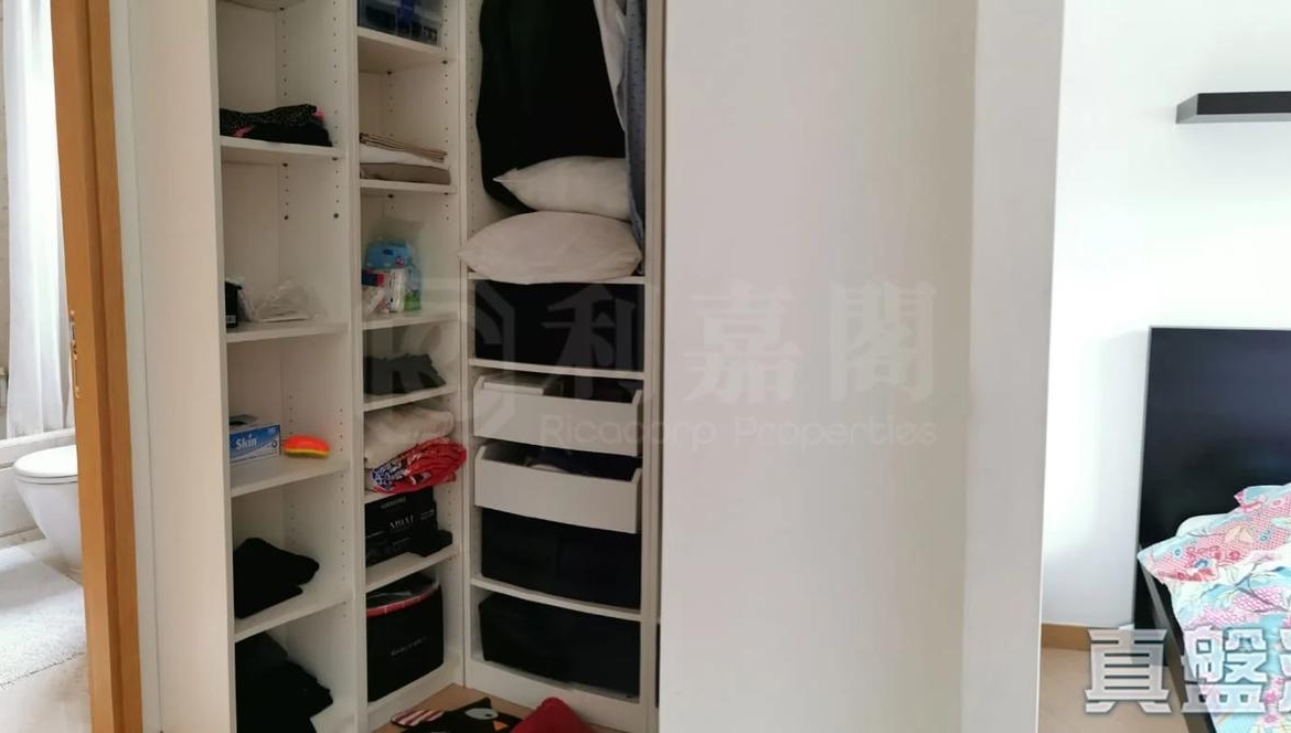 星堤 - 28NTS – 香港北部都會區