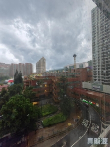 沙田中心 嘉寧大廈 (F座) - 28NTS – 香港北部都會區