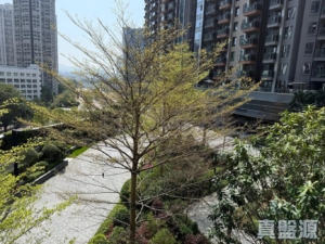 YOHO WEST 1期 3A座 - 28NTS – 香港北部都會區