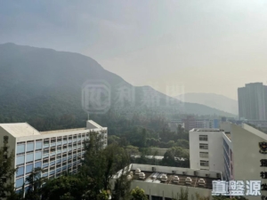 藍天海岸 3期 影岸‧紅 A座 (7座) - 28NTS – 香港北部都會區