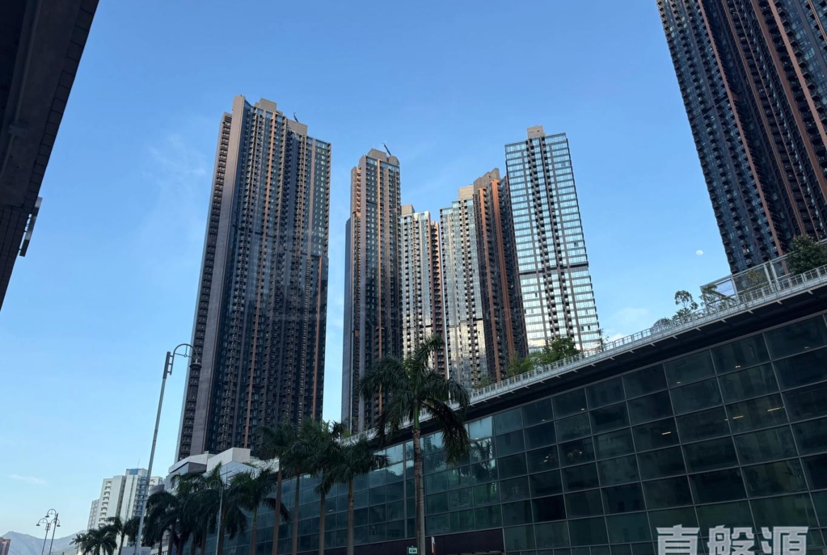 柏傲莊 1期 3座 (3B) - 28NTS – 香港北部都會區