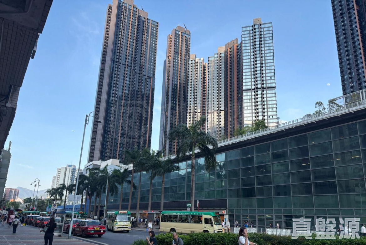 柏傲莊 1期 3座 (3B) - 28NTS – 香港北部都會區