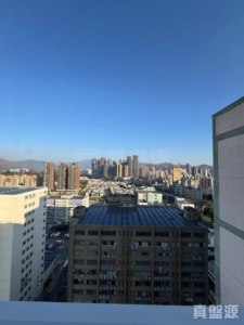 雨後 - 28NTS – 香港北部都會區