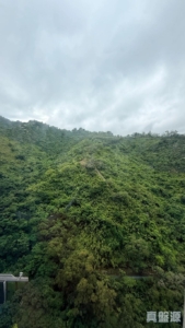 美景花園 11座 - 28NTS – 香港北部都會區