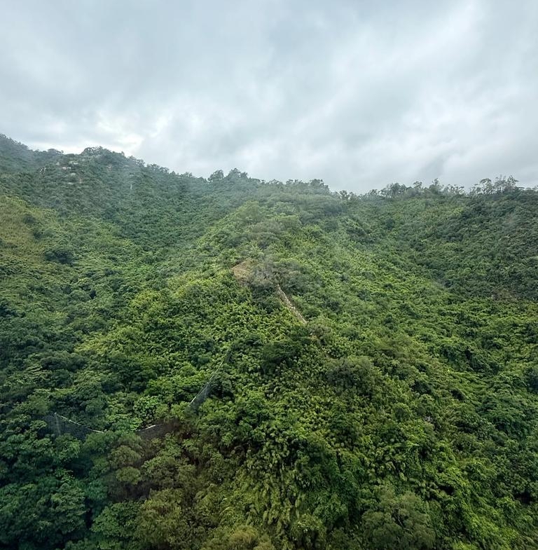 美景花園 11座 - 28NTS – 香港北部都會區