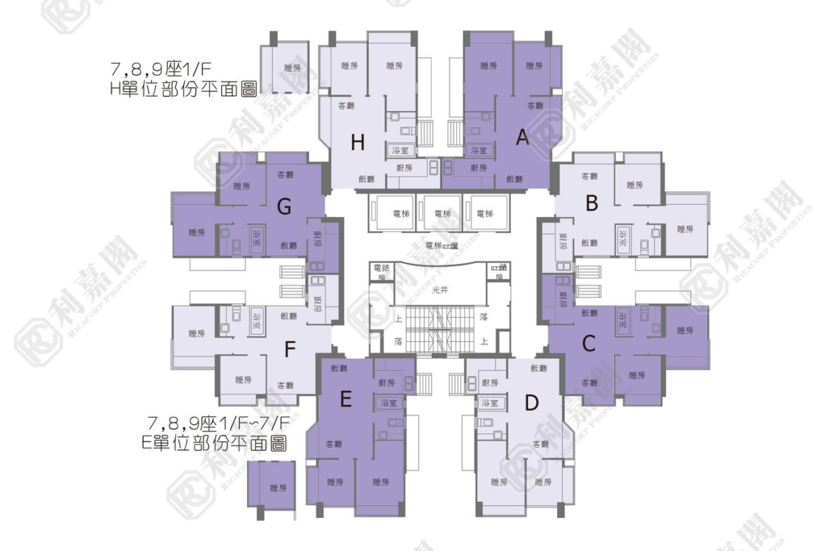 疊茵庭 8座 - 28NTS – 香港北部都會區