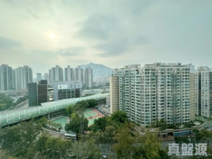 恒豐園 3座 - 28NTS – 香港北部都會區