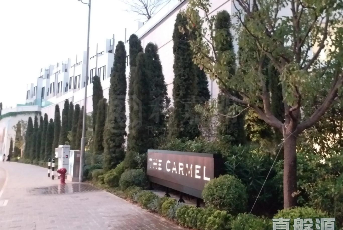 THE CARMEL 2座 - 28NTS – 香港北部都會區