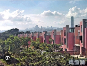 翠逸雅園 2期 - 28NTS – 香港北部都會區
