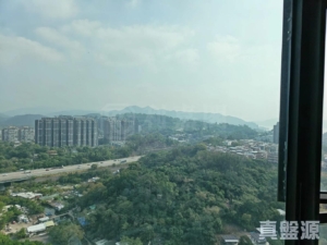 愛琴海岸 1座 - 28NTS – 香港北部都會區