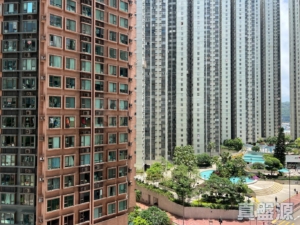 麗城花園 1期 1座 - 28NTS – 香港北部都會區