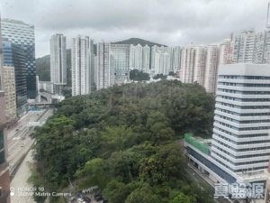 愉景新城 1期 1座 - 28NTS – 香港北部都會區