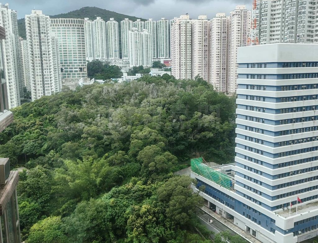 愉景新城 1期 1座 - 28NTS – 香港北部都會區