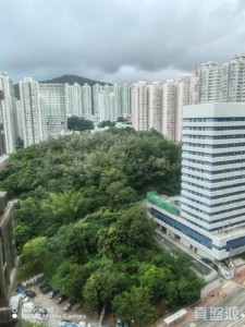 愉景新城 1期 1座 - 28NTS – 香港北部都會區