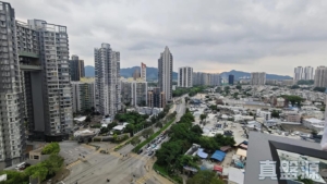 RESIDENCE 譽88 2座 - 28NTS – 香港北部都會區