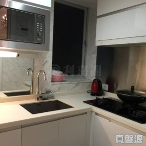 名城 3期 盛世 5座 - 28NTS – 香港北部都會區