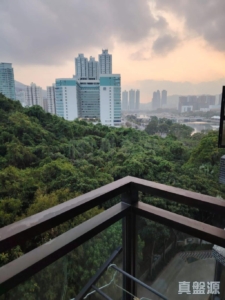 富豪花園 愛都閣 (A座) - 28NTS – 香港北部都會區