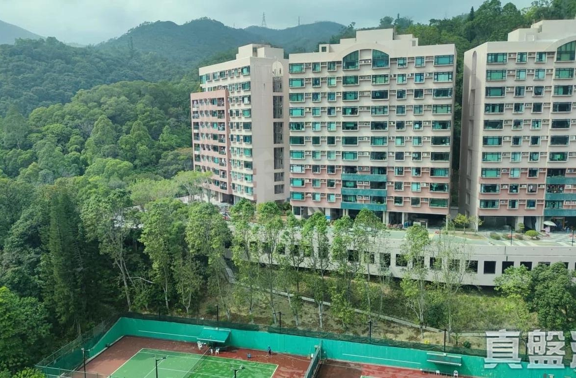 曉翠山莊 4座 - 28NTS – 香港北部都會區