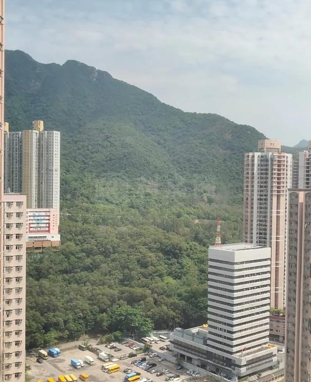 新港城 4期 E座 - 28NTS – 香港北部都會區