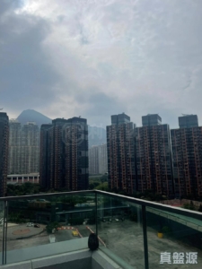 雲海 1期 Maple Court 2座 - 28NTS – 香港北部都會區