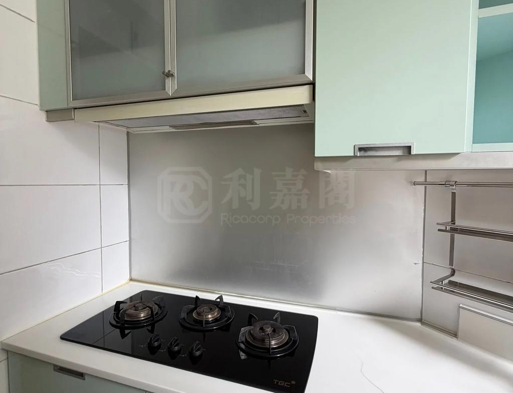 藍天海岸 1期 2座 - 28NTS – 香港北部都會區