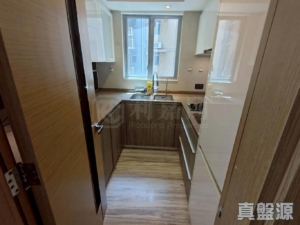 峻巒 2A期 PARK YOHO GENOVA 16A座 - 28NTS – 香港北部都會區