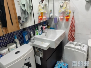 綠悠雅苑 1座 - 28NTS – 香港北部都會區