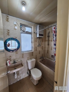 1782025656ad45c0bf-fe53-4e34-aaaf-ac153ab0124c.jpeg 沙田第一城 5期 50座 - 28NTS – 香港北部都會區