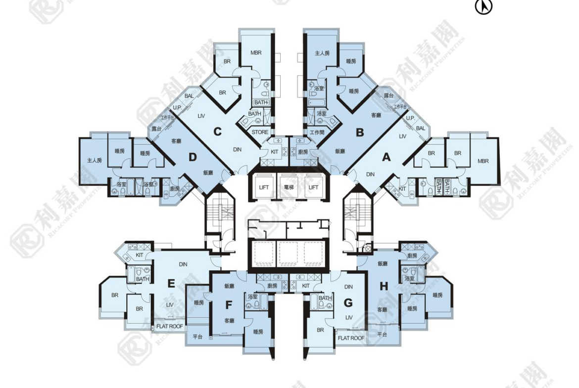 藍天海岸 3期 影岸‧紅 A座 (7座) - 28NTS – 香港北部都會區