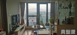 GRAND YOHO 2期 8座 - 28NTS – 香港北部都會區
