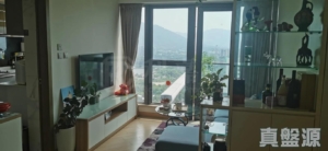 GRAND YOHO 2期 8座 - 28NTS – 香港北部都會區
