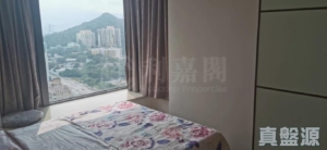 GRAND YOHO 2期 8座 - 28NTS – 香港北部都會區