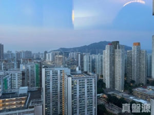 啟豐園 2座 - 28NTS – 香港北部都會區