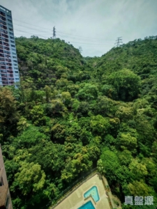 178210527207f336b3-14bc-46cf-984c-19c571e392db.jpeg 嘉翠園 2座 - 28NTS – 香港北部都會區