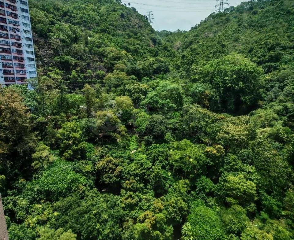 嘉翠園 2座 - 28NTS – 香港北部都會區