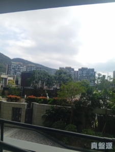緹岸 1期 1座 - 28NTS – 香港北部都會區