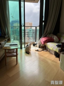 YOHO TOWN 2期 YOHO MIDTOWN 8座 - 28NTS – 香港北部都會區