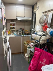 尚翠苑 B座 (翠河閣) - 28NTS – 香港北部都會區