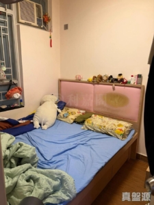 尚翠苑 B座 (翠河閣) - 28NTS – 香港北部都會區