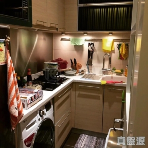 蝶翠峰 4期 綠庭園 12座 - 28NTS – 香港北部都會區