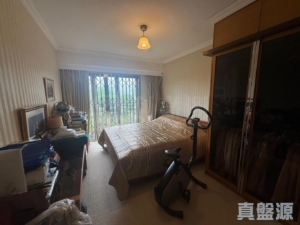 首譽 - 28NTS – 香港北部都會區