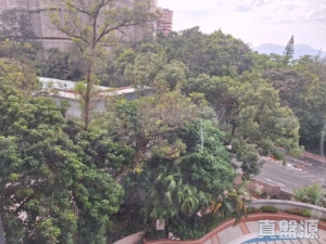 翠峰小築 2座 - 28NTS – 香港北部都會區