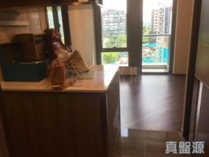 緹岸 1期 1A座 - 28NTS – 香港北部都會區